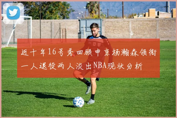 近十年16号秀回顾申京杨瀚森领衔一人退役两人淡出NBA现状分析